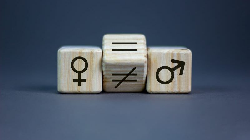 Website Gender Inequality
