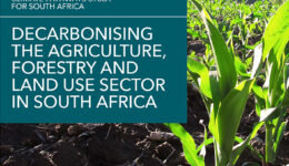 Decarbonising-the-Agriculture-Forestry-and-Land-use-Sector-in-South-Africa-scaled