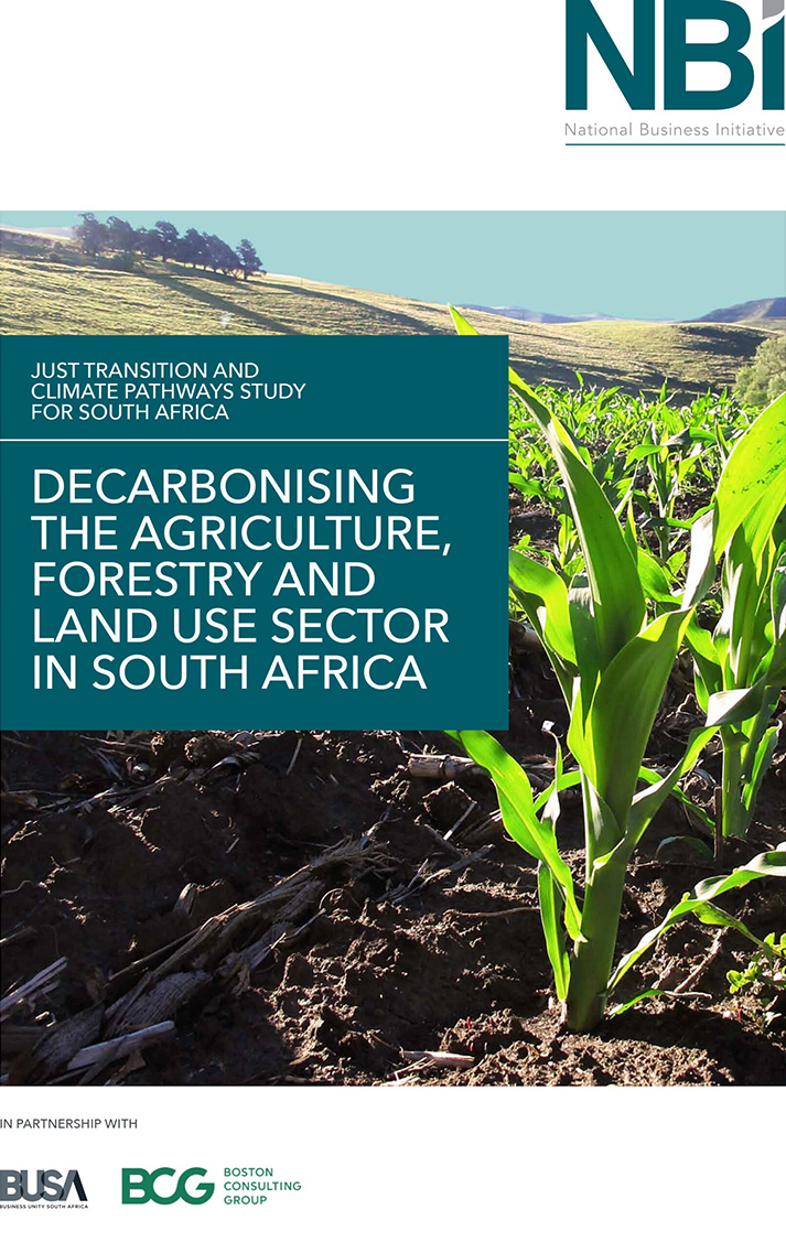 Decarbonising-the-Agriculture-Forestry-and-Land-use-Sector-in-South-Africa-scaled