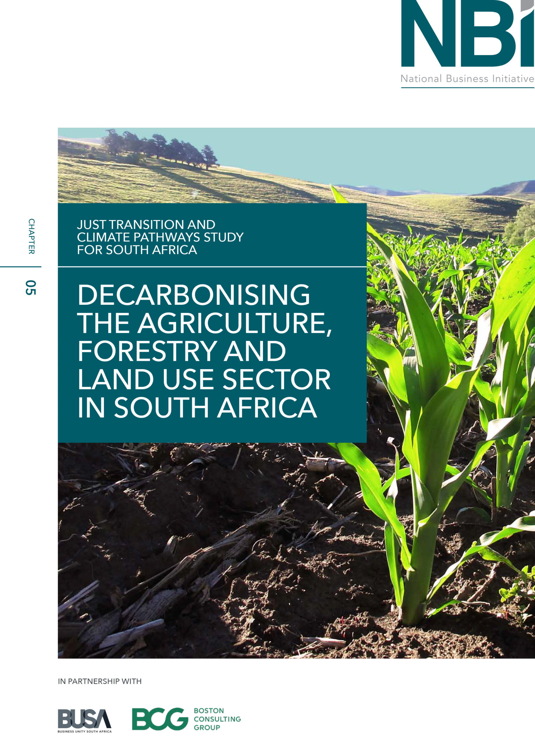 Decarbonising-the-Agriculture,-Forestry-and-Land-use-Sector-in-South-Africa