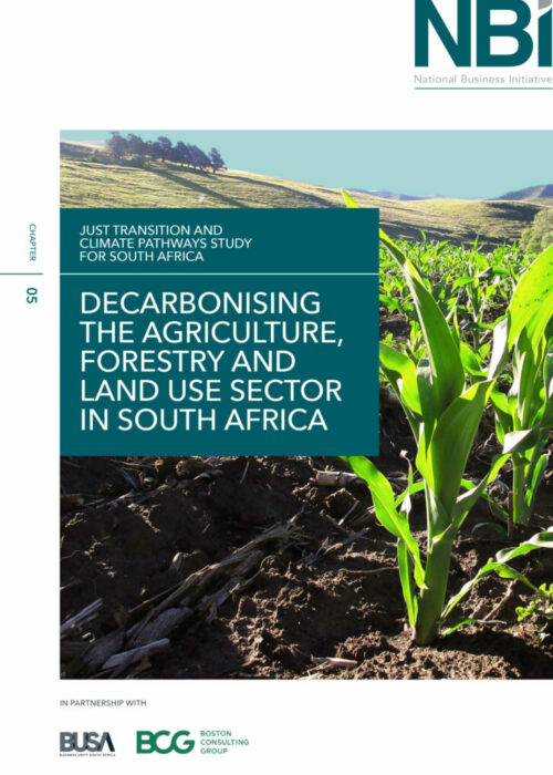 Decarbonising the Agriculture, Forestry and Land use Sector in South Africa