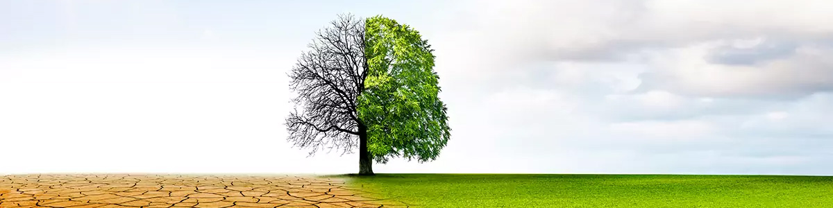 CDP-Climate-Change-Header img