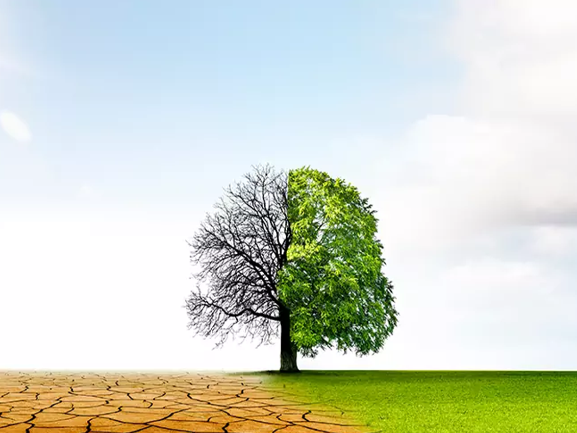 Climate-Change