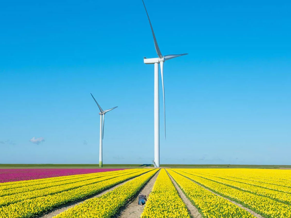 Climate-and-Sustainable-Investment