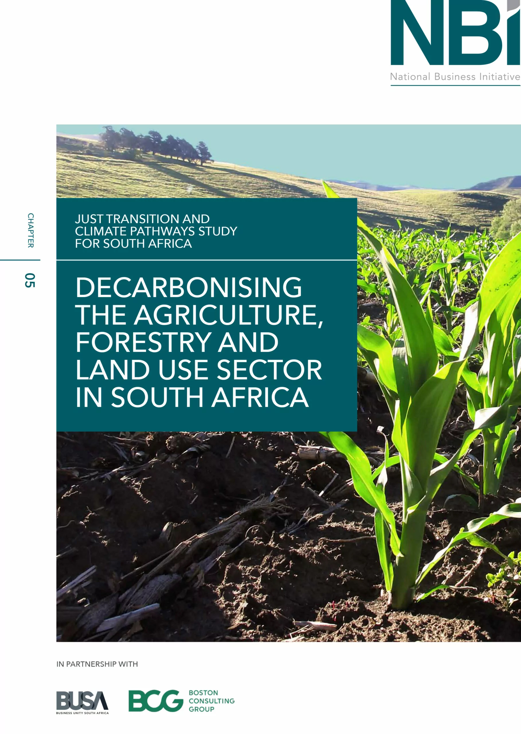 Decarbonising-the-Agriculture-Forestry-and-Land-use-Sector-in-South-Africa-scaled-1