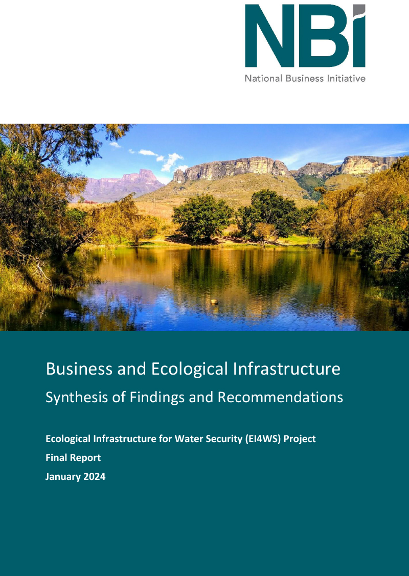 NBI-Final-Report---Business-&-Ecological-Infrastructure-(January-2024)