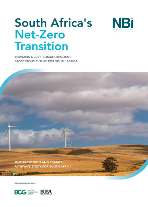 South Africa's Net-Zero Transition