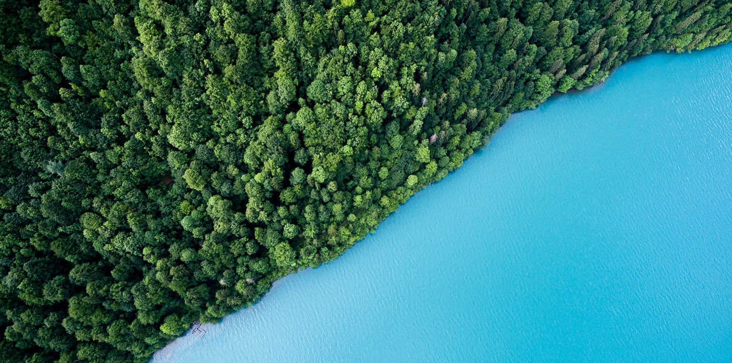 Renewable Ambition in South African Electricity